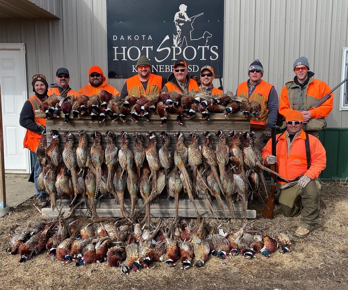 South Dakota Pheasant Numbers 2025
