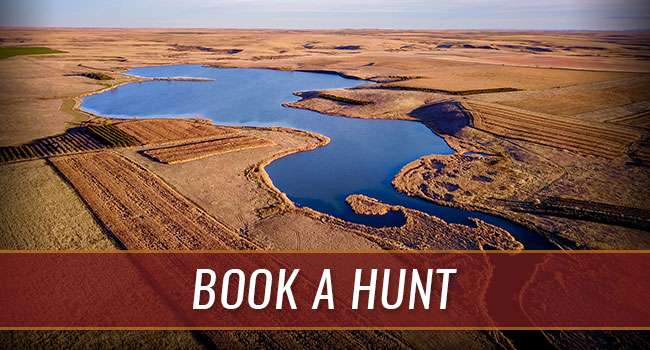 Book a Hunt