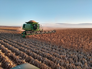 Farming